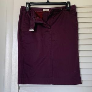 Designer Pencil stretchy skit